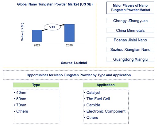 Nano Tungsten Powder Market Trends and Forecast