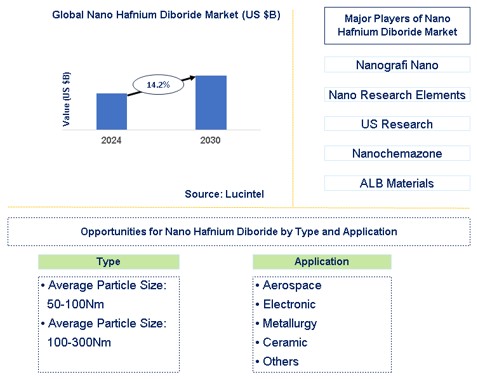 Nano Hafnium Diboride Market Trends and Forecast