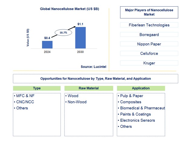 Nanocellulose Market by Type, Raw Material, and Application