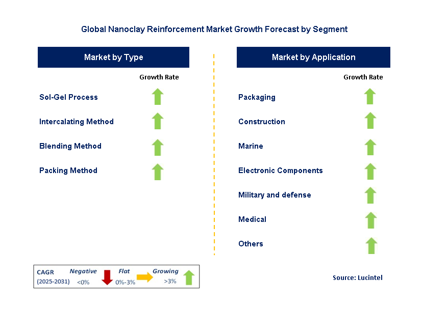 Nanoclay Reinforcement Market by Segment