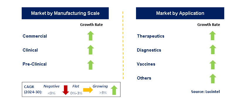 Nanoparticle Contract Manufacturing by Segment