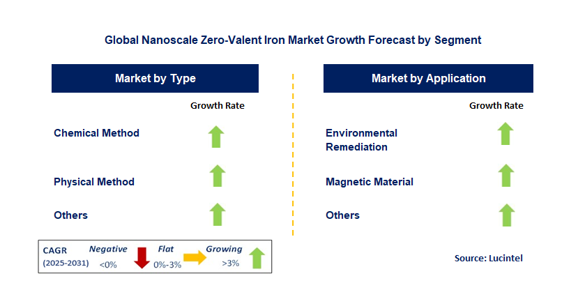 Nanoscale Zero-Valent Iron Market by Segment