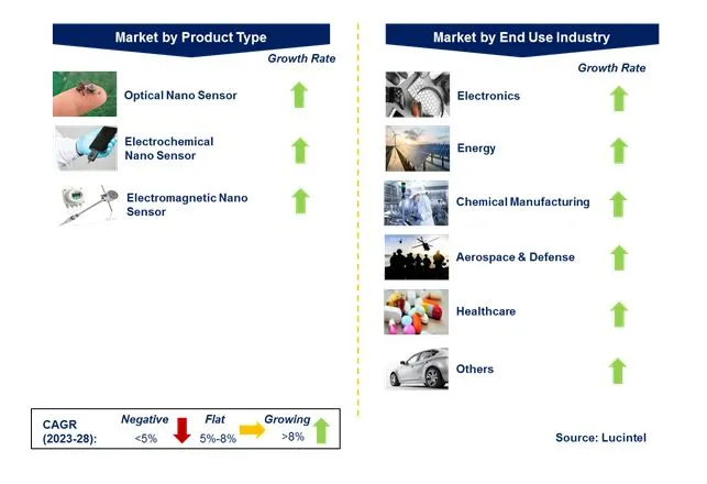 Nanosensor Market by Segments
