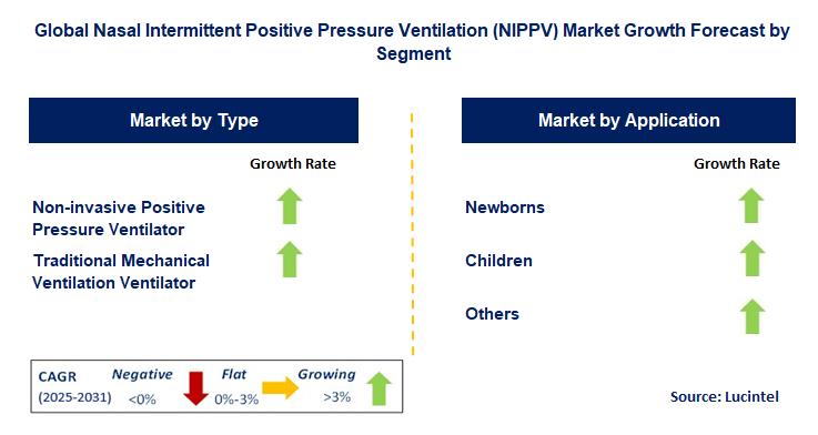 Nasal Intermittent Positive Pressure Ventilation (NIPPV) Market by Segment