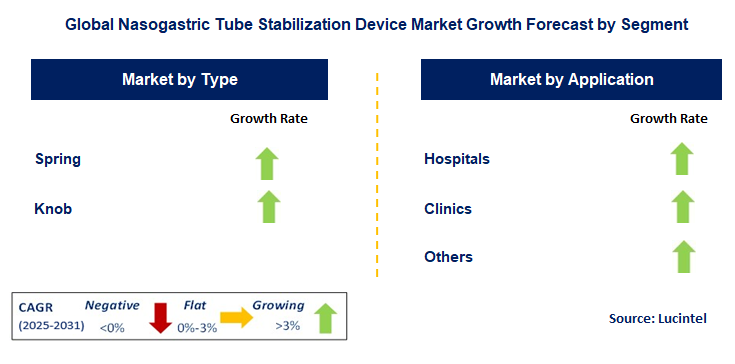 Nasogastric Tube Stabilization Device Market by Segment