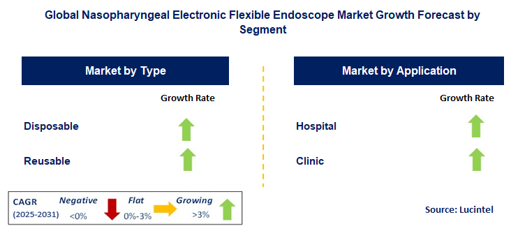 Nasopharyngeal Electronic Flexible Endoscope Market by Segment