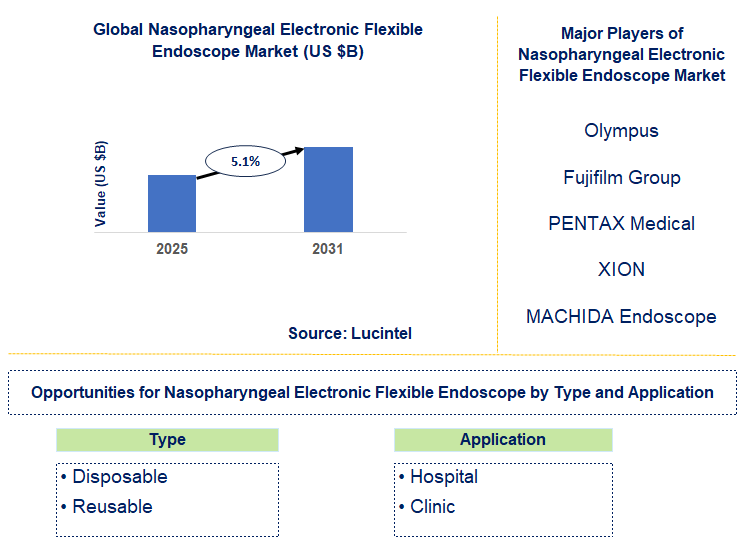 Nasopharyngeal Electronic Flexible Endoscope Market Trends and Forecast