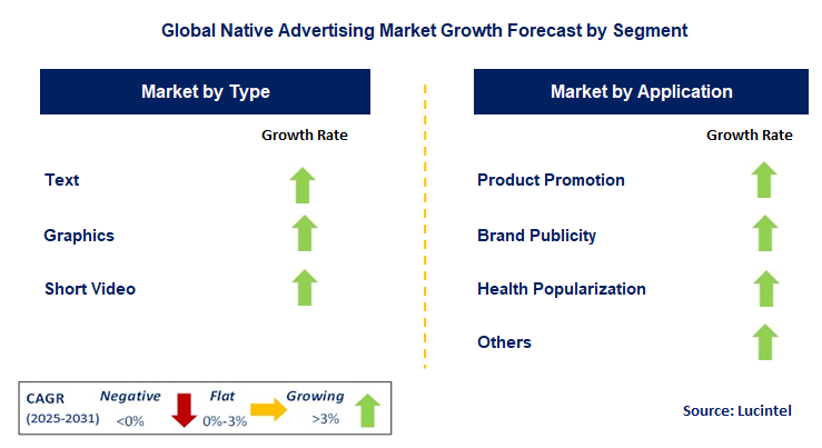Native Advertising Market by Segment