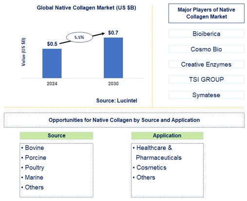 Native Collagen Trends and Forecast