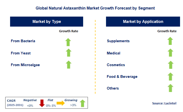 Natural Astaxanthin Market by Segment