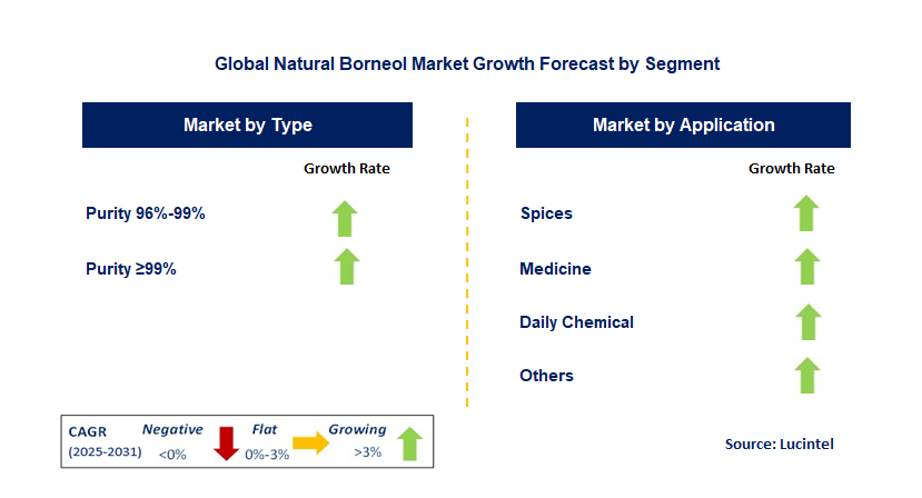 Natural Borneol Market by Segment