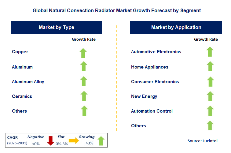Natural Convection Radiator Market by Segment