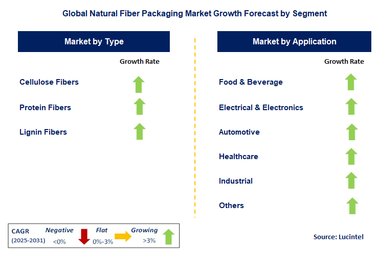 Natural Fiber Packaging Market by Segment