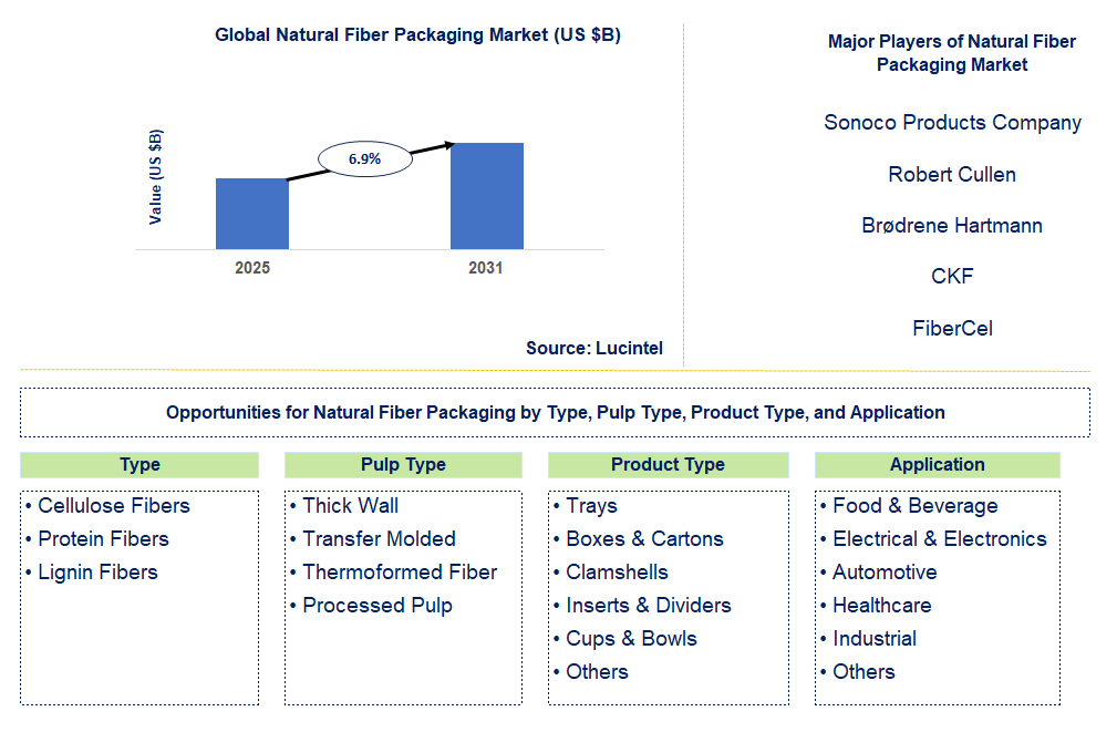 Natural Fiber Packaging Market Trends and Forecast