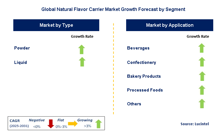 Natural Flavor Carrier Market by Segment