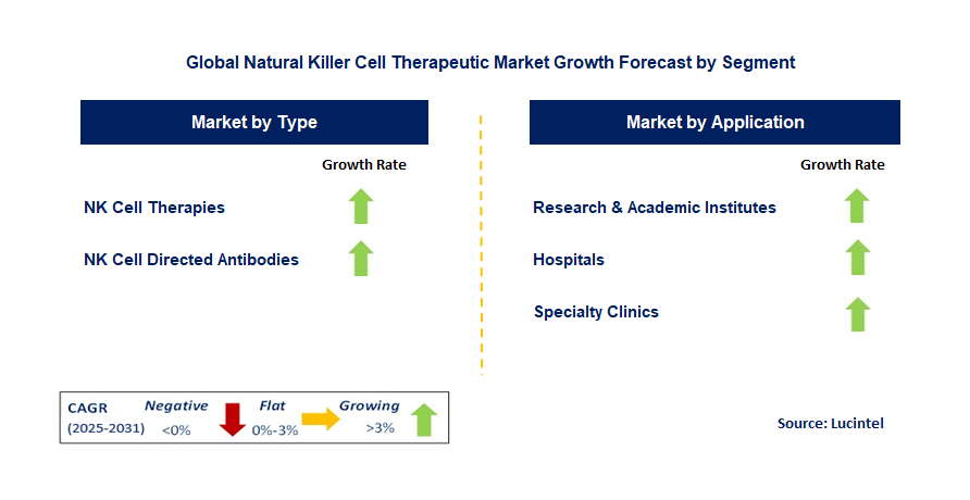 Natural Killer Cell Therapeutic Market by Segment