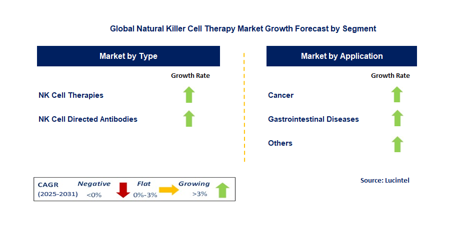 Natural Killer Cell Therapy Market by Segment