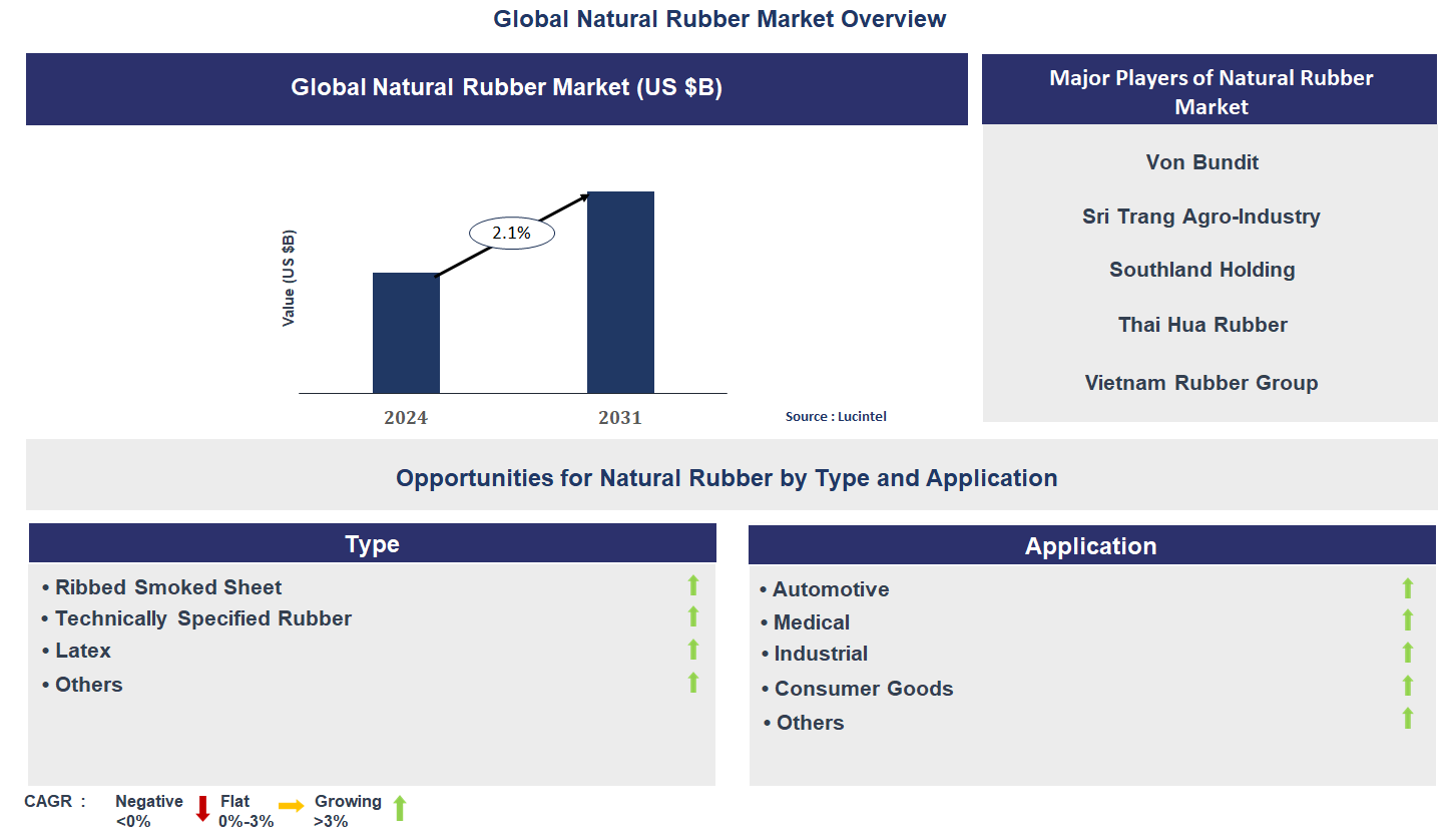 Natural Rubber Market Trends and Forecast