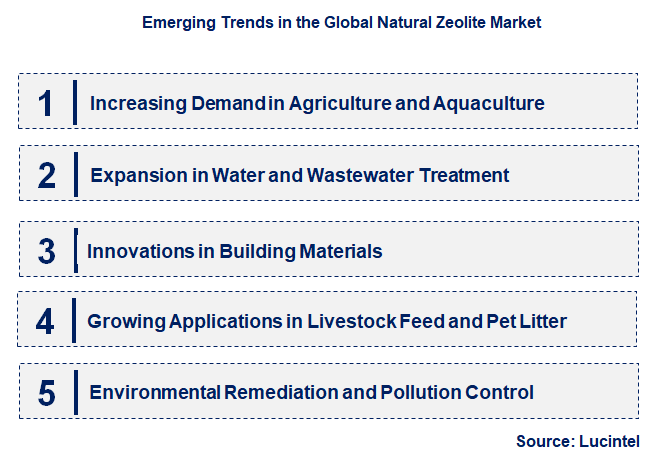 Emerging Trends in the Natural Zeolite Market