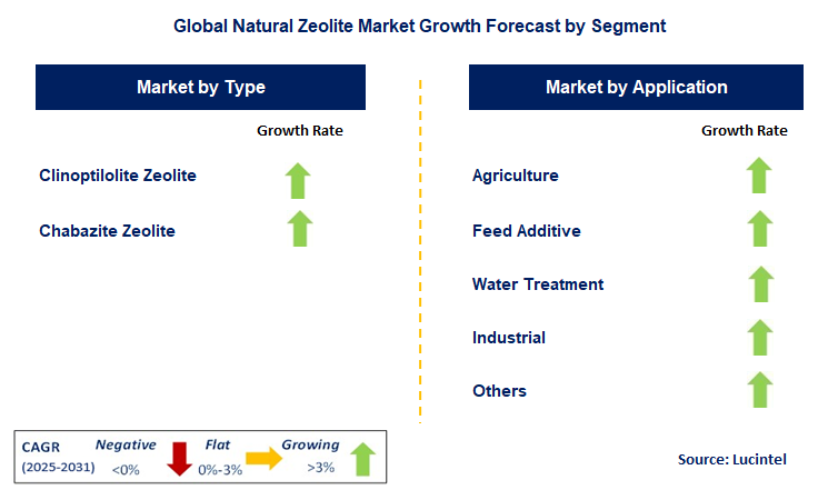Natural Zeolite Market by Segment