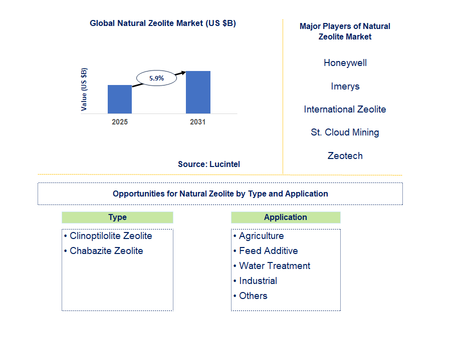 Natural Zeolite Market Trends and Forecast