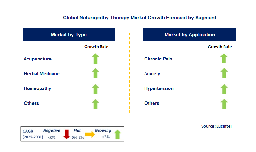 Naturopathy Therapy Market by Segment