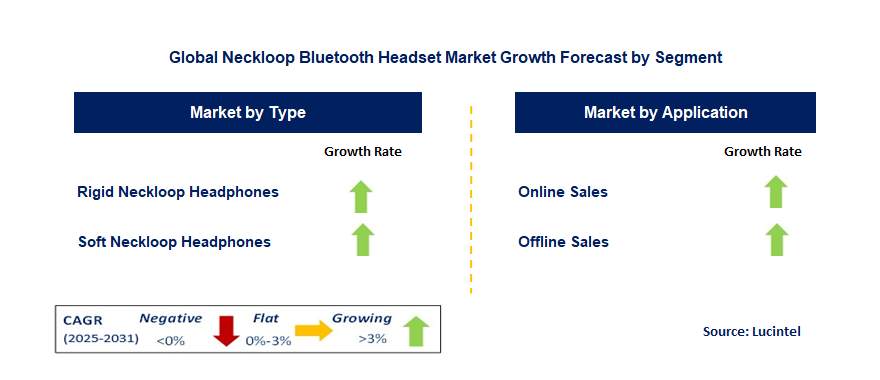 Neckloop Bluetooth Headset Market by Segment
