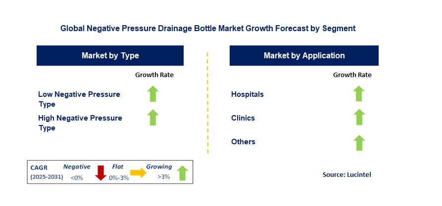 Negative Pressure Drainage Bottle Market by Segment