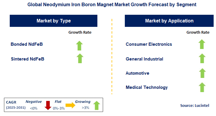 Neodymium Iron Boron Magnet Market by Segment