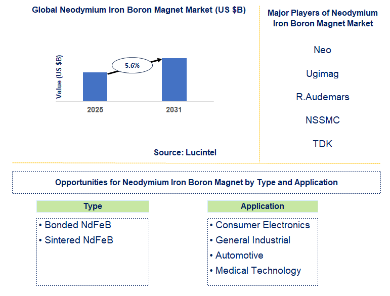 Neodymium Iron Boron Magnet Market Trends and Forecast