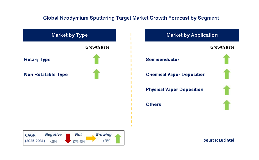 Neodymium Sputtering Target Market by Segment