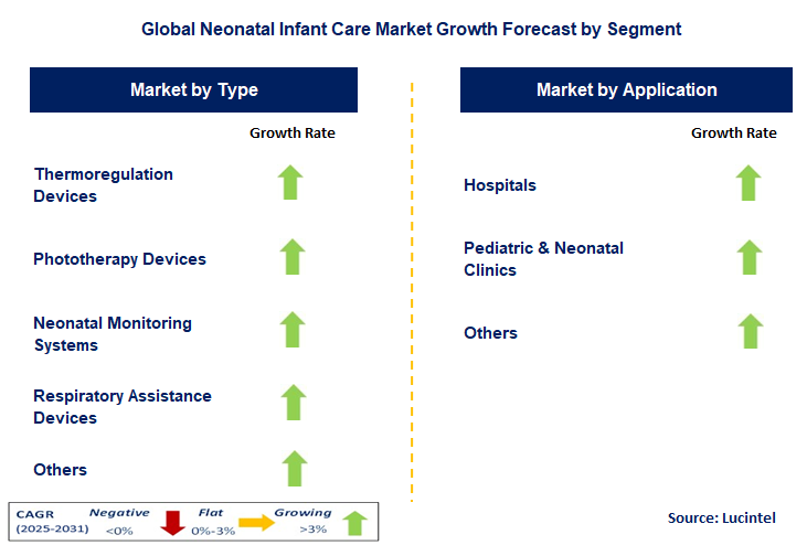 Neonatal Infant Care Market by Segment