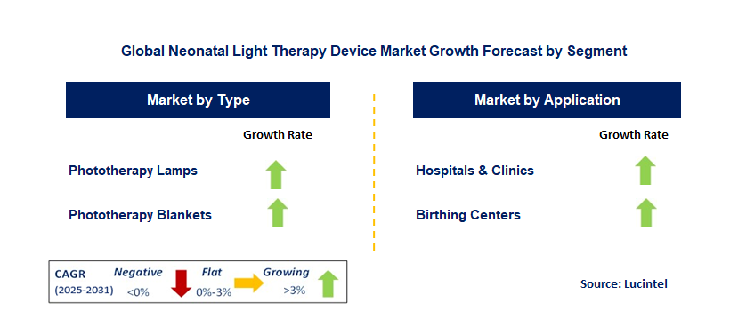 Neonatal Light Therapy Device Market by Segment