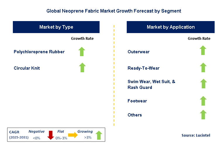 Neoprene Fabric Market by Segment