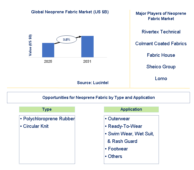 Neoprene Fabric Market Trends and Forecast