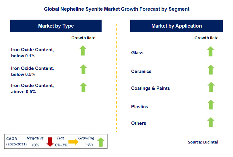 Nepheline Syenite Market by Segment