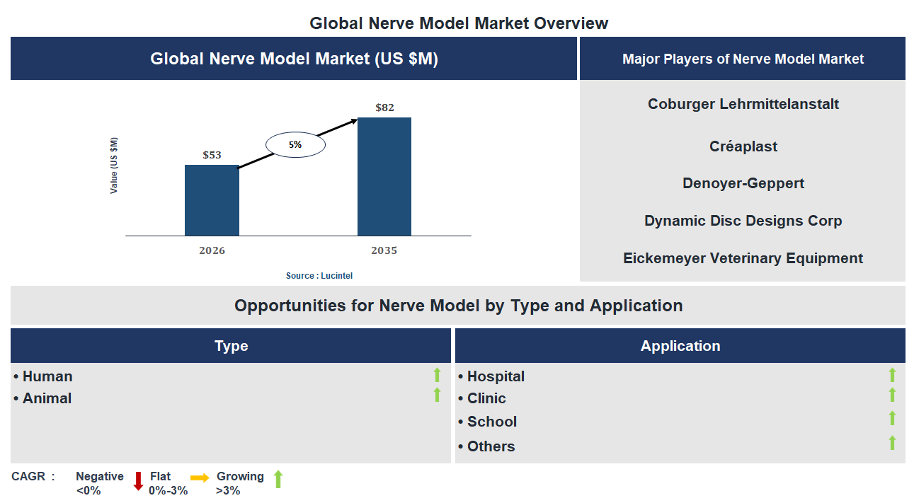 Nerve Model Market Trends and Forecast