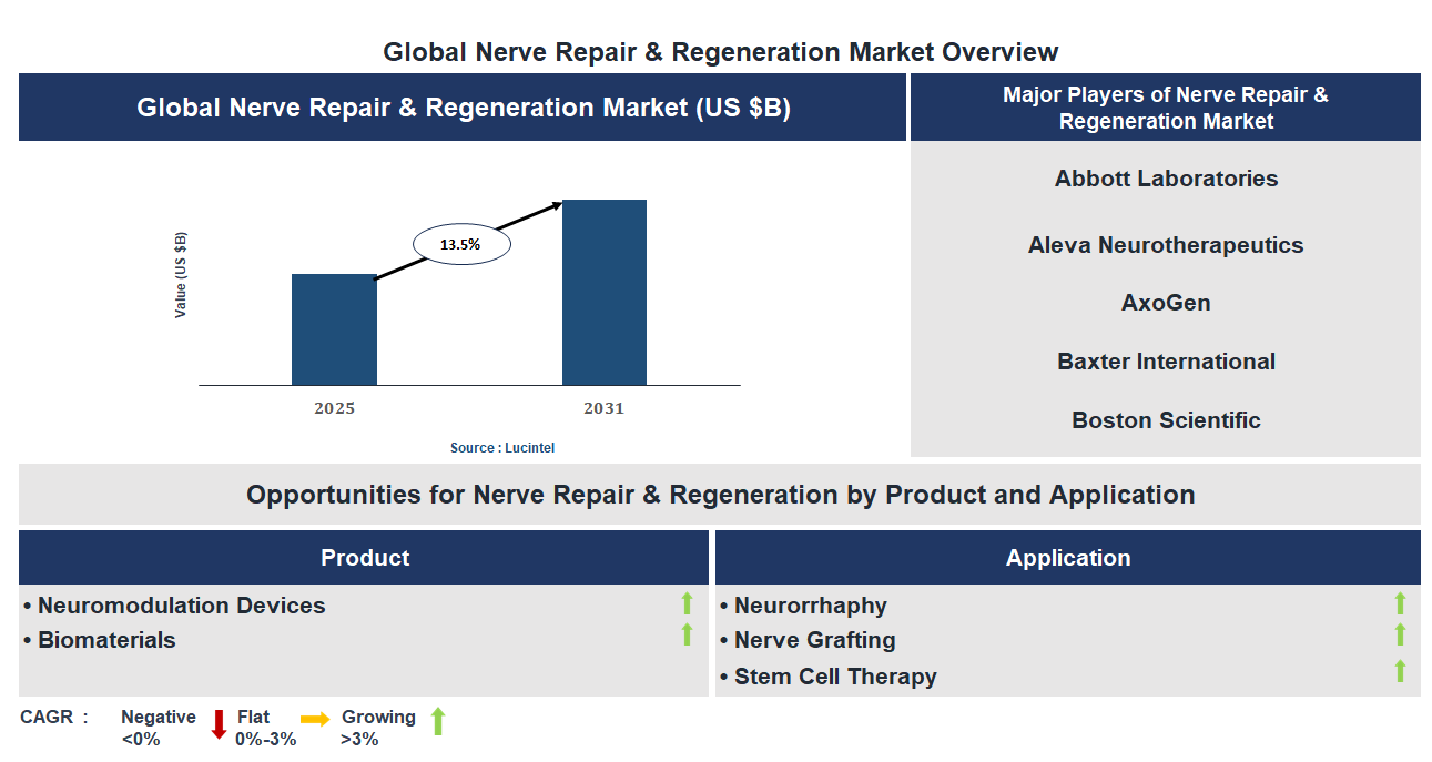 Nerve Repair & Regeneration Market Trends and Forecast