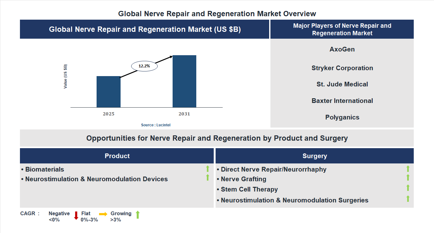 Nerve Repair and Regeneration Market Trends and Forecast