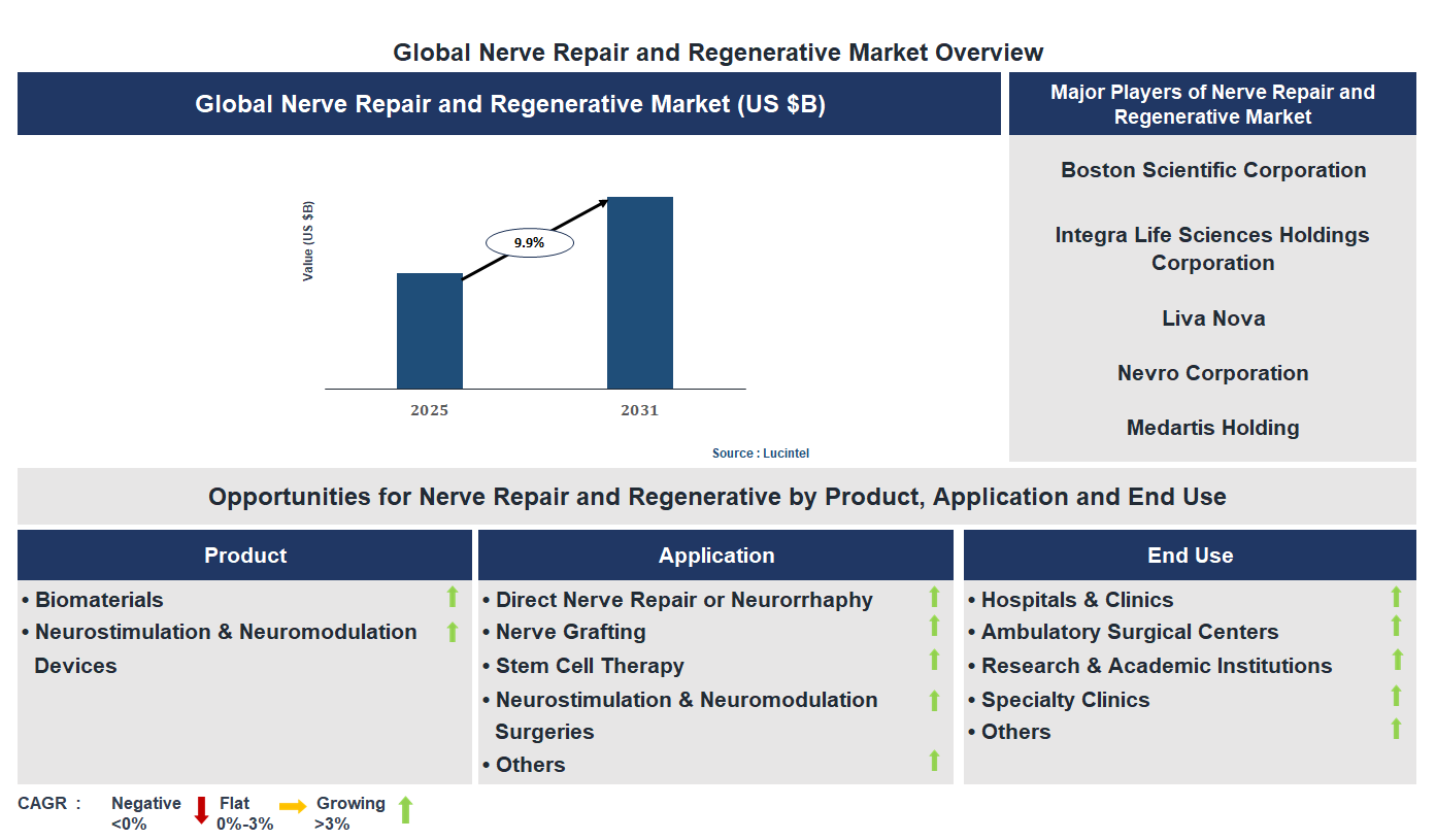 Nerve Repair and Regenerative Market Trends and Forecast