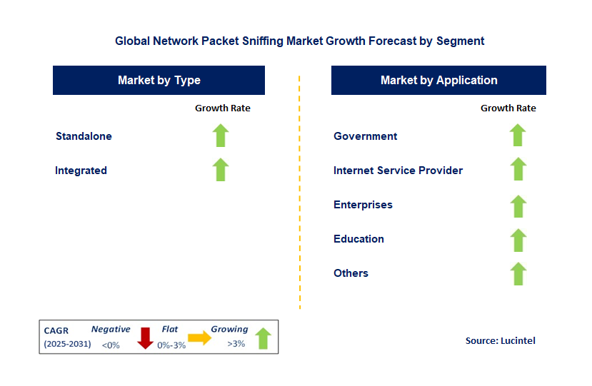 Network Packet Sniffing Market by Segment