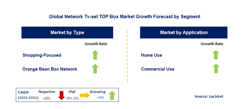 Network Tv-Set Top Box Market by Segment
