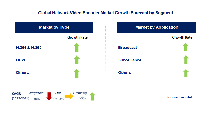 Network Video Encoder Market by Segment