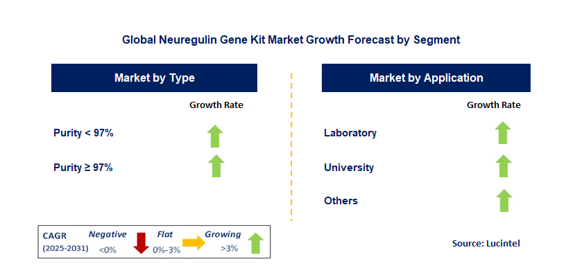 Neuregulin Gene Kit Market by Segment