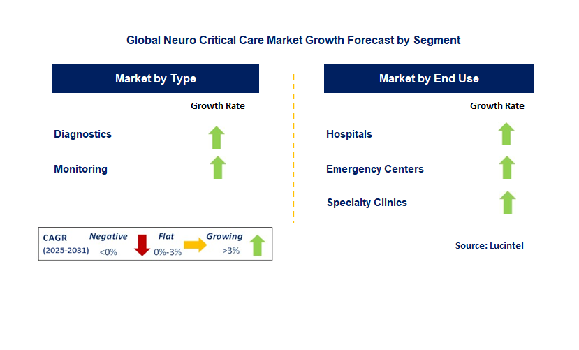 Neuro Critical Care Market by Segment