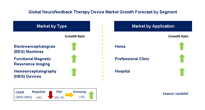 Neurofeedback Therapy Device Market by Segment