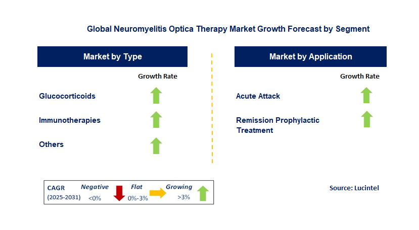 Neuromyelitis Optica Therapy Market by Segment