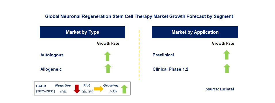 Neuronal Regeneration Stem Cell Therapy Market by Segment