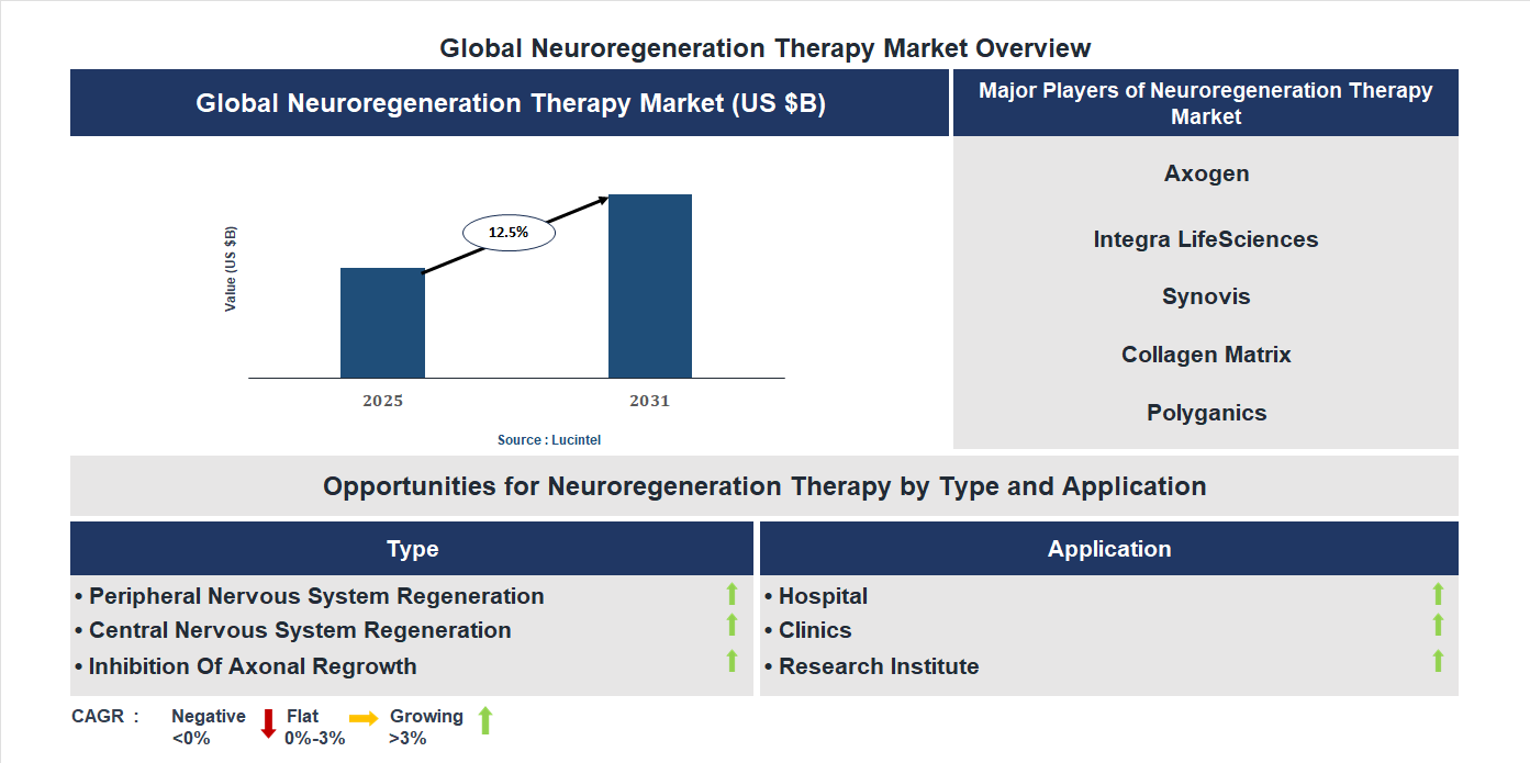 Neuroregeneration Therapy Market Trends and Forecast