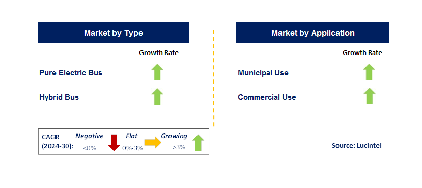 New Energy Passenger Bus by Segment